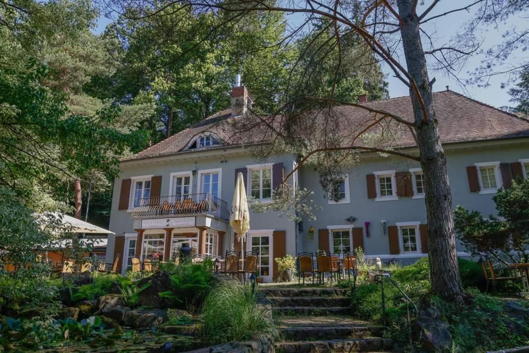 Hotel Und Restaurant Halbinsel Блискастел Екстериор снимка